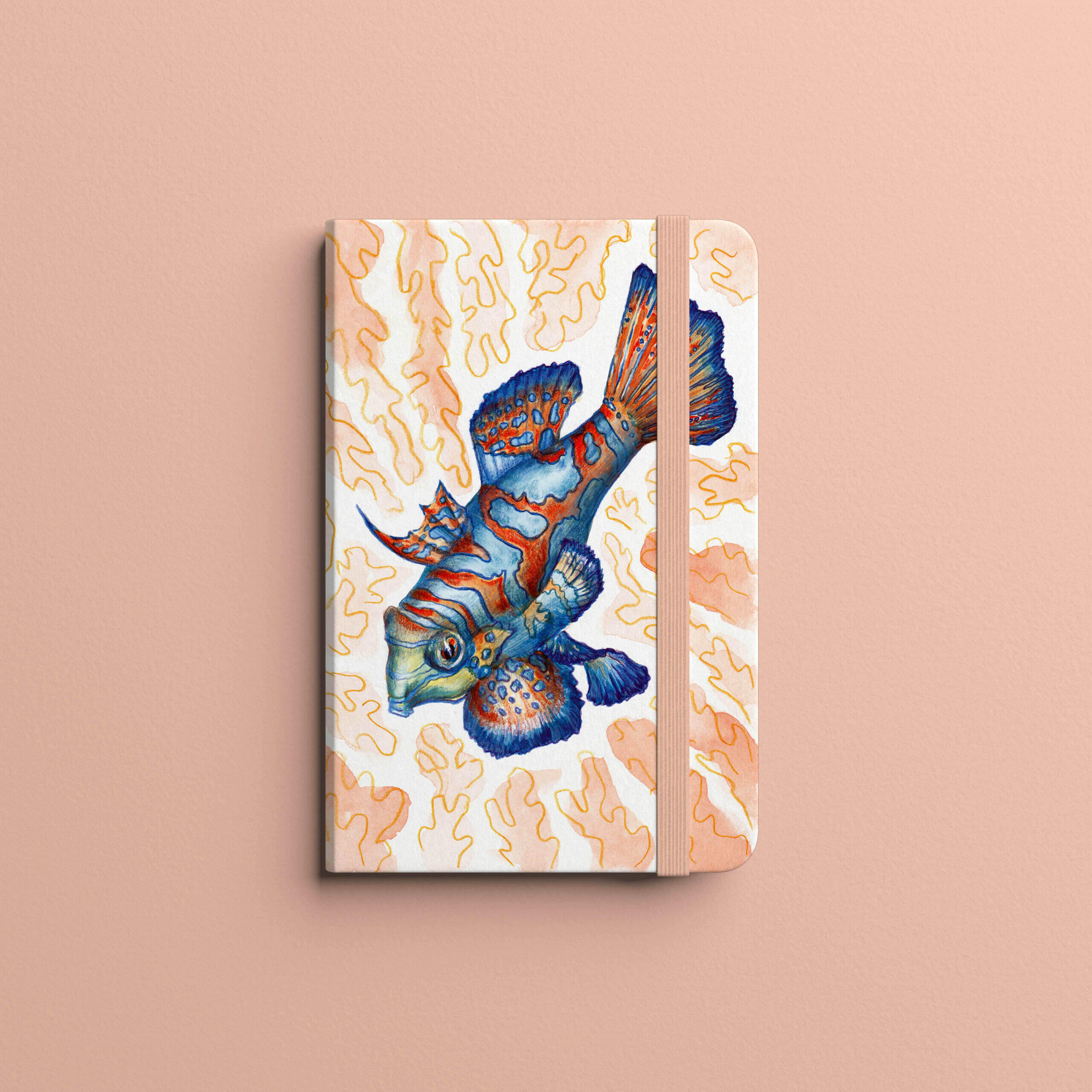 Mandarin Fish Illustration in blue and orange hues.