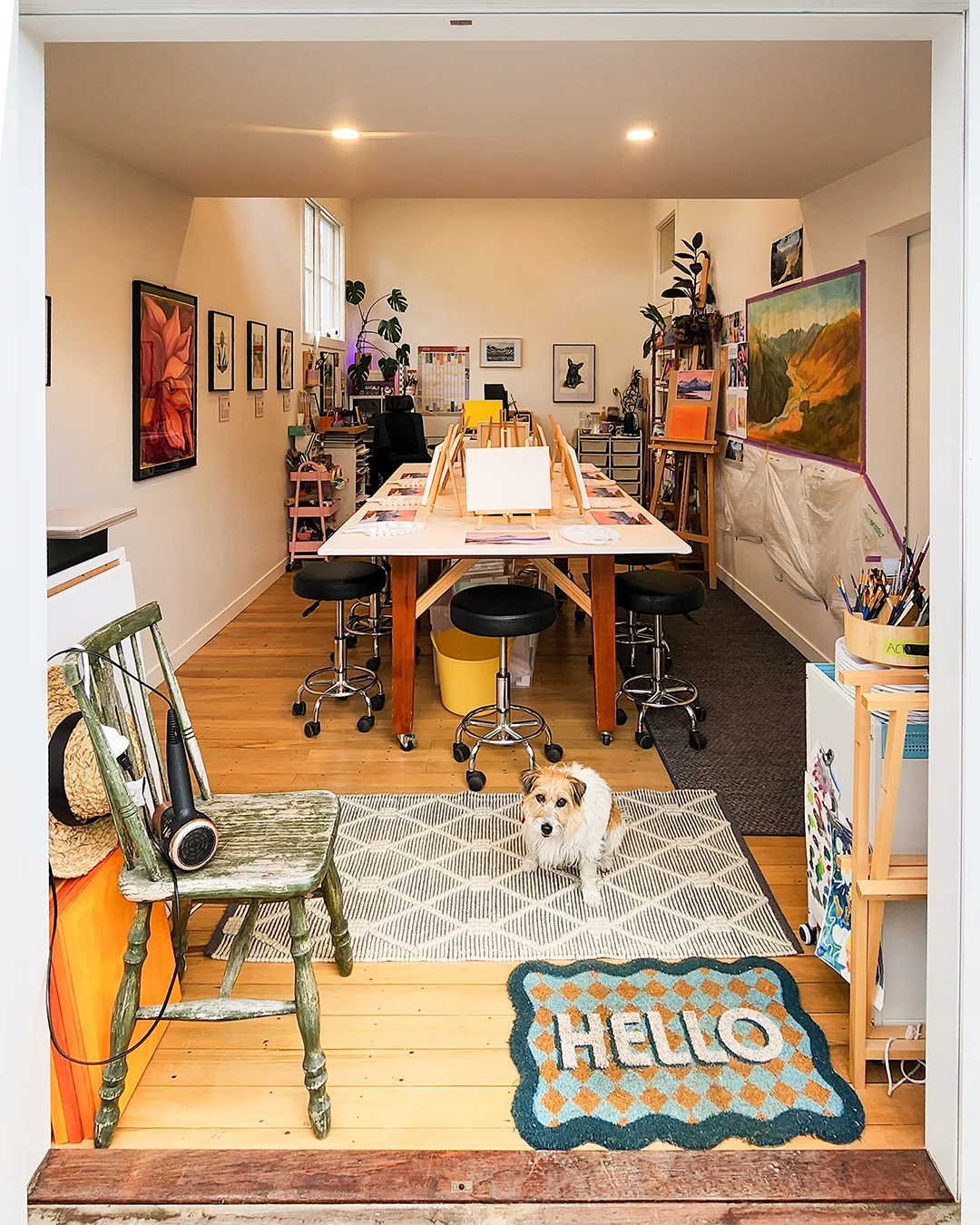 Muppet welcomes you at Kasia Hebda Studio