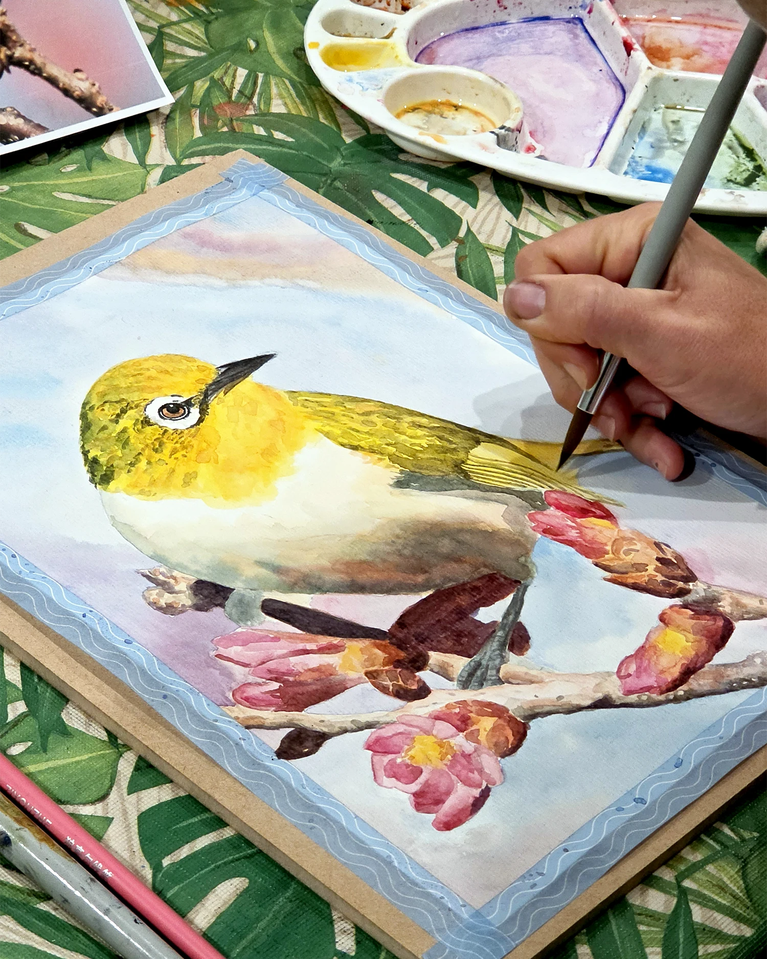 NZ Birds watercolour course — Silvereye / Tauhou