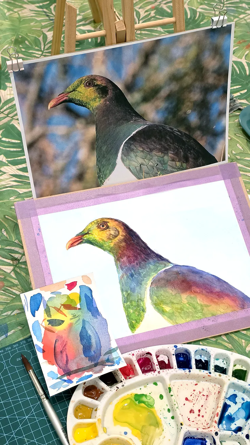 Kererū watercolour study from Kasia Hebda's NZ Birds Watercolour Course