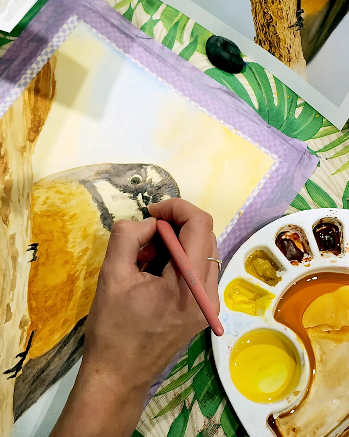 Pīwakawaka (fantail) watercolour study