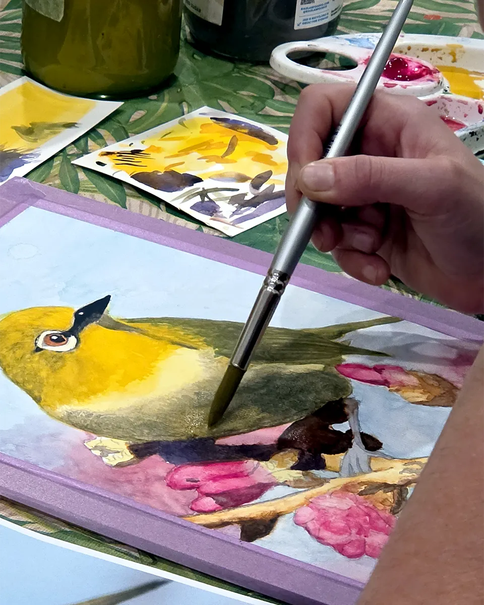 A student's silvereye watercolour in progress on the NZ Birds course