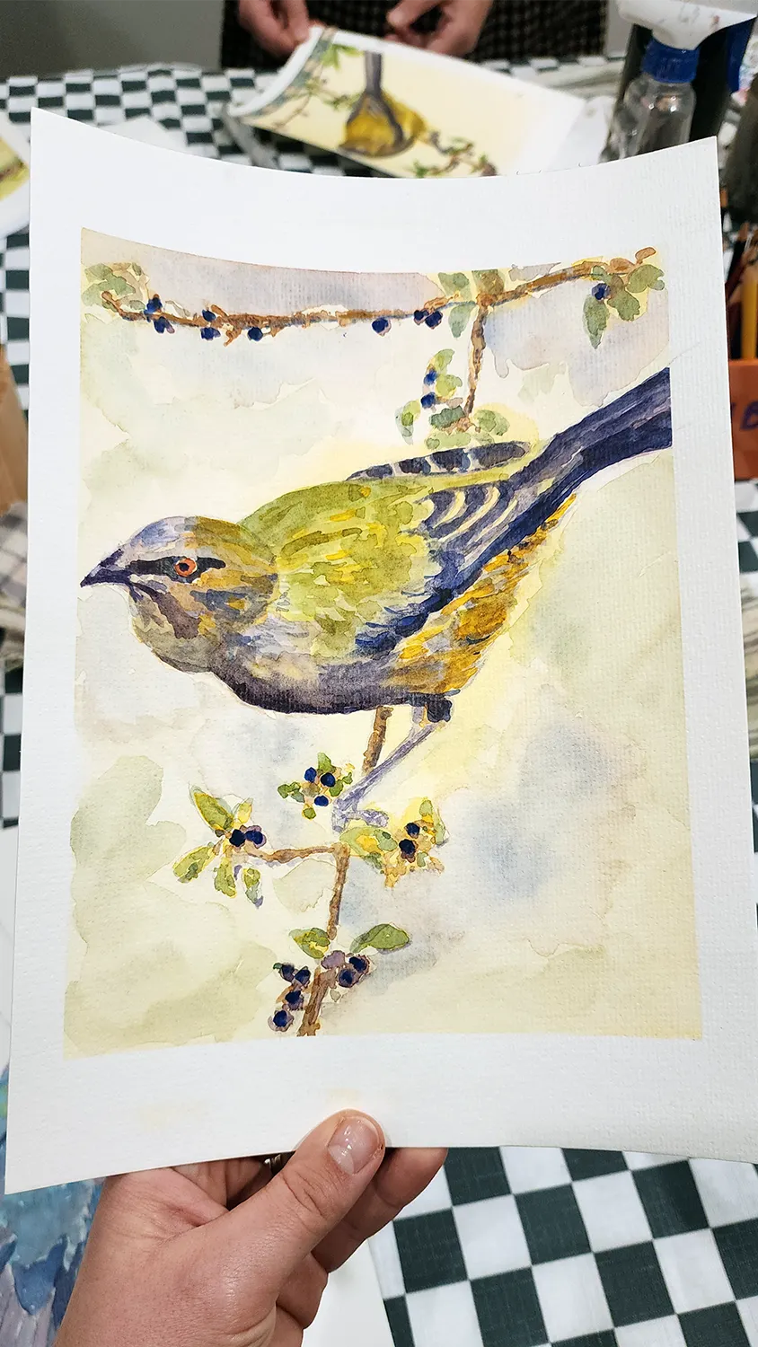 Korimako (bellbird) watercolour by Kasia Hebda