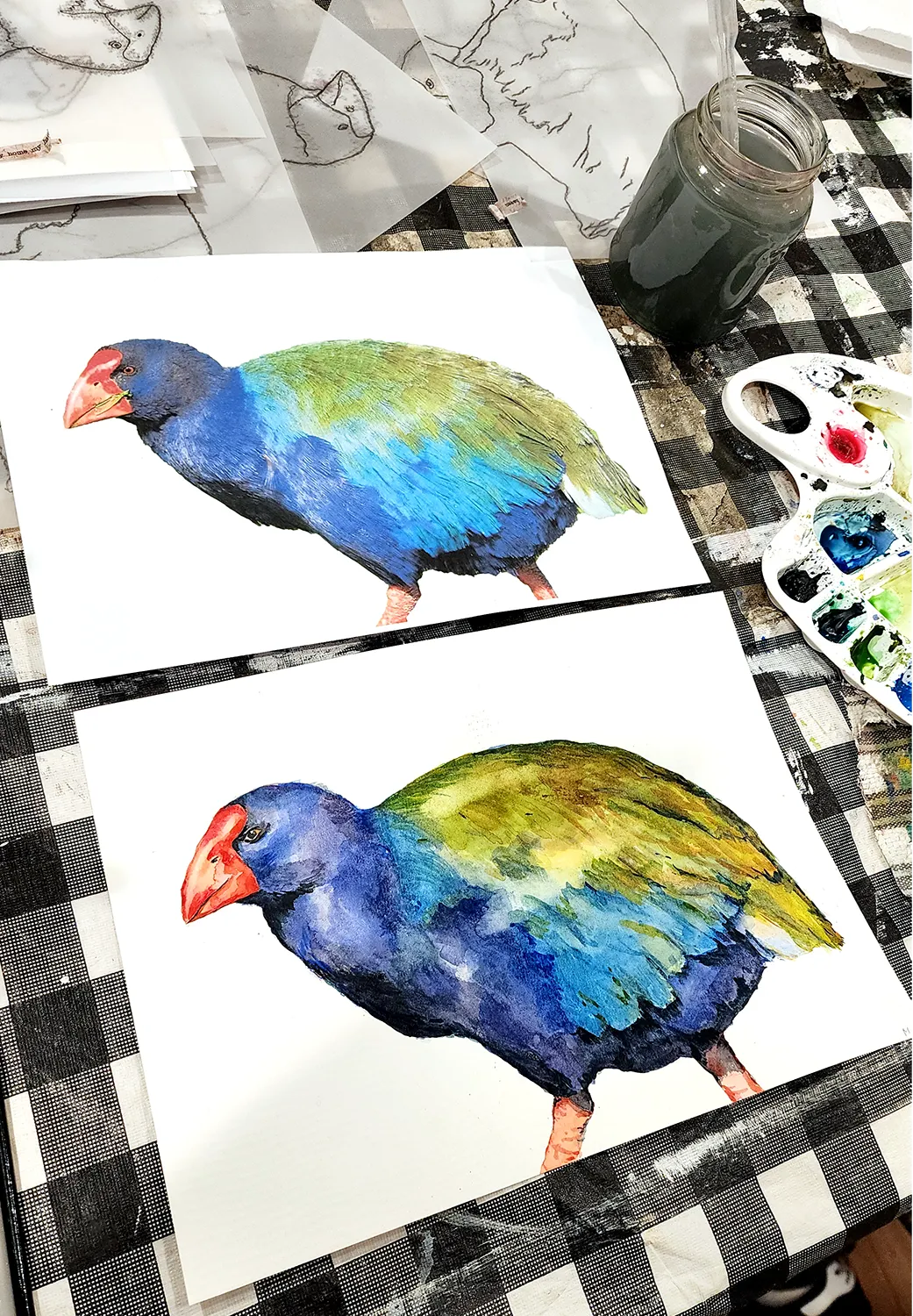 Takahē watercolour by Kasia Hebda