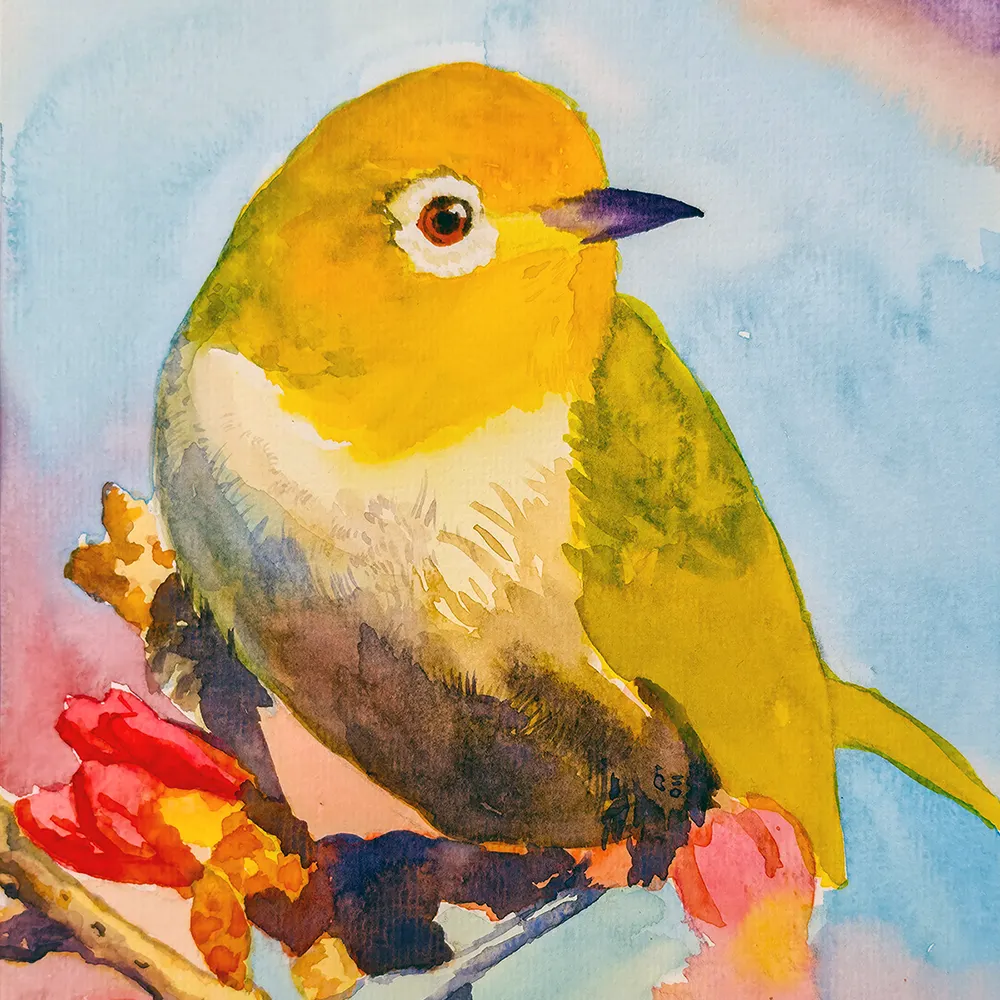 Silvereye / Tauhou watercolour workshop, Queenstown