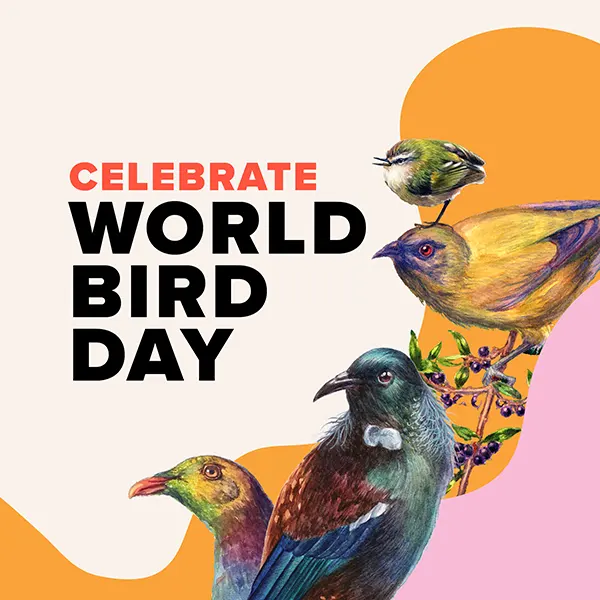 Birds of Aotearoa watercolour workshop for World Bird Day, Queenstown